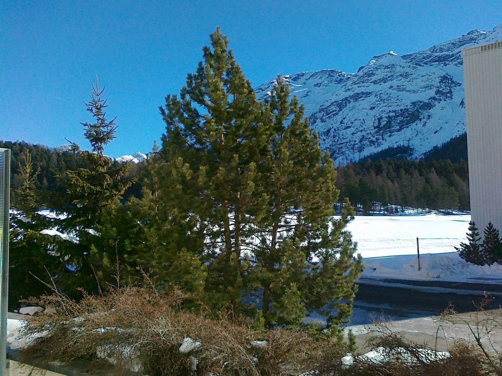 Studio Champfer St. Moritz Eksteriør billede